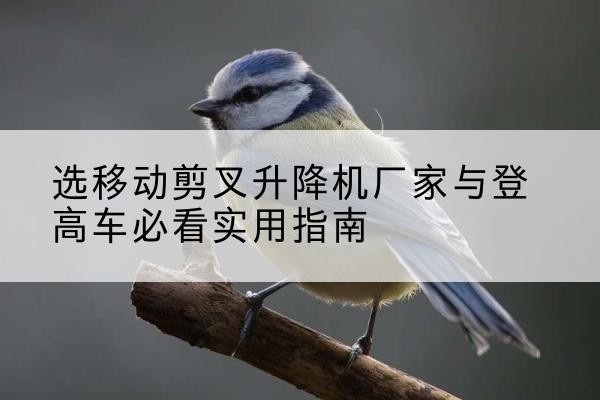 银海电动升降机厂家-选移动剪叉升降机厂家与登高车必看实用指南