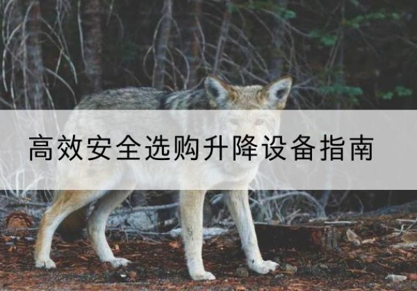 银海升降货梯厂家推荐-*安全选购升降设备指南