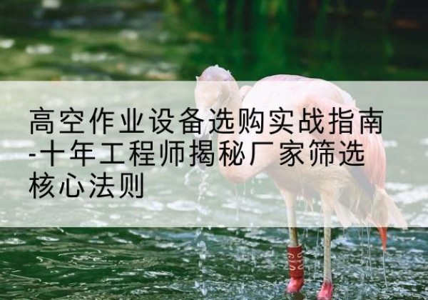 银海剪叉式升降机厂家-高空作业设备选购实战指南-十年工程师揭秘厂家筛选核心法则